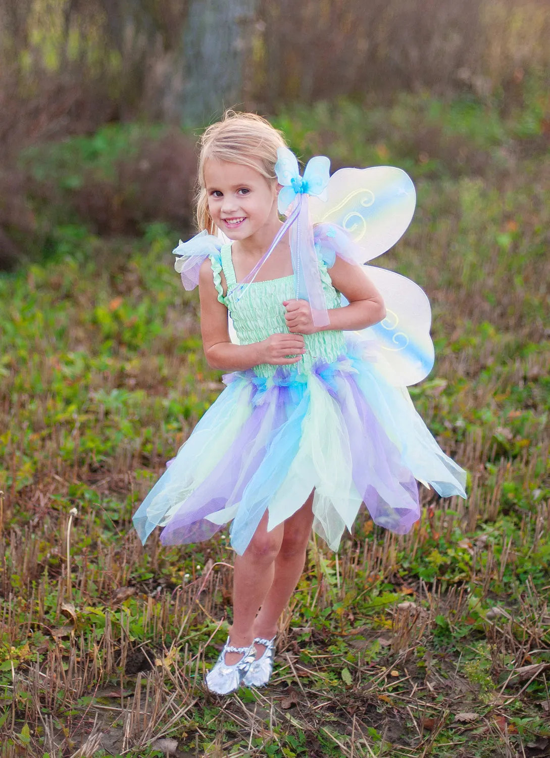 Butterfly Dress with Wings and Wand 5-6